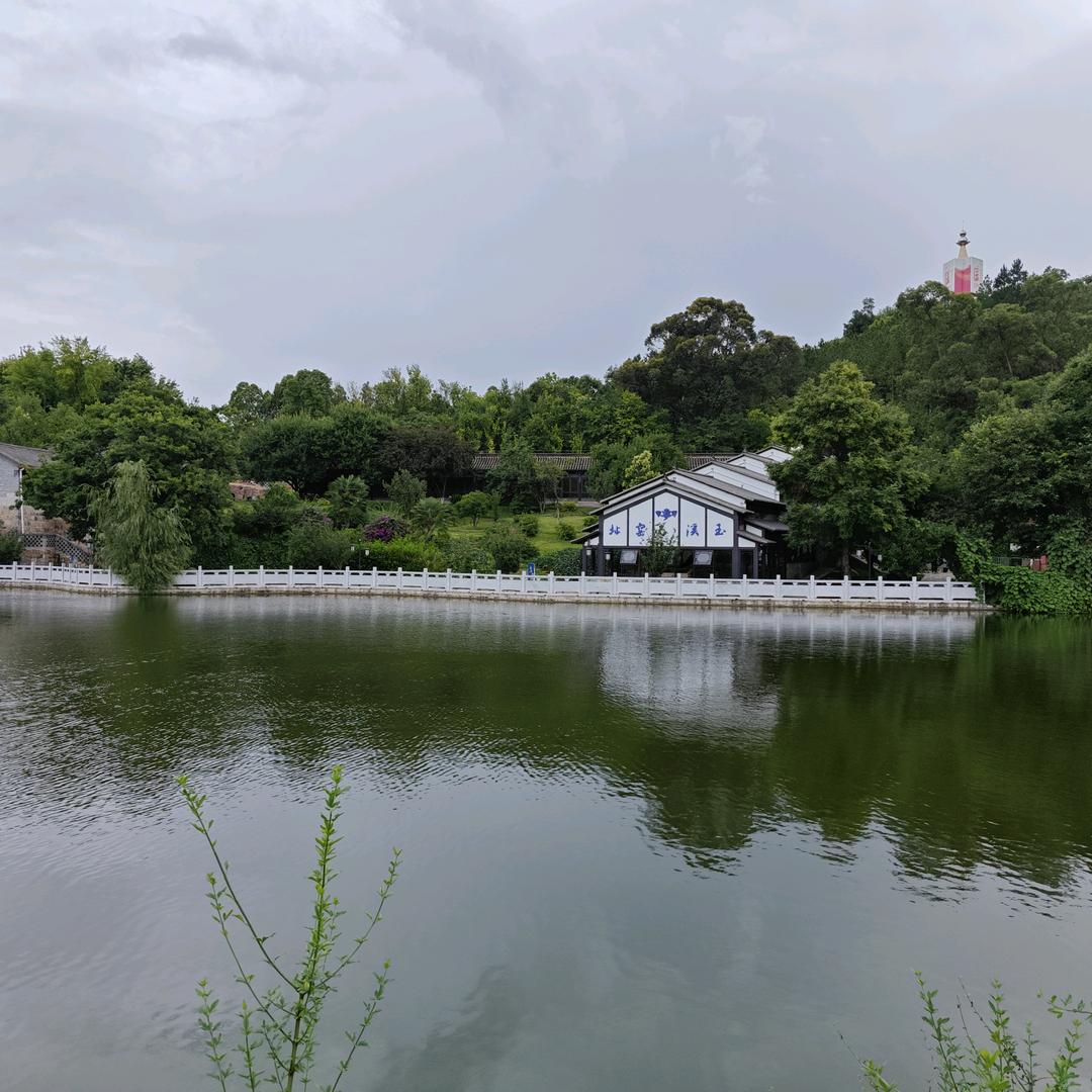 南村群童欺我老无力