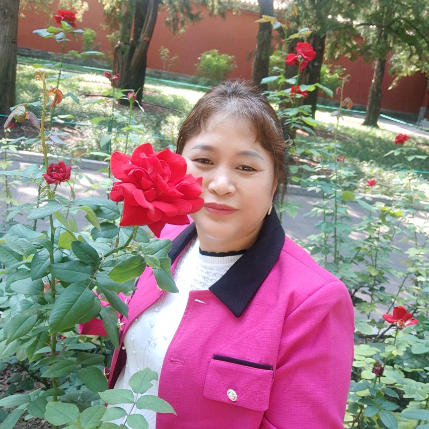 不🌹打🌷扰🌺你🍀🌷🌹🌺了?