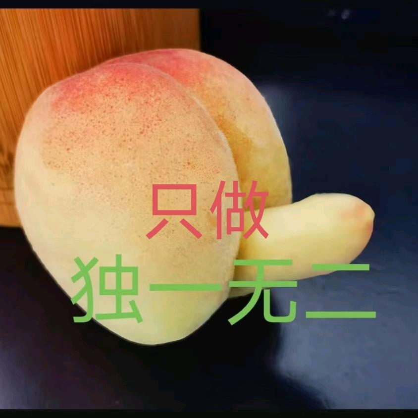 河北省绿色农产品种植，农产品销售指导