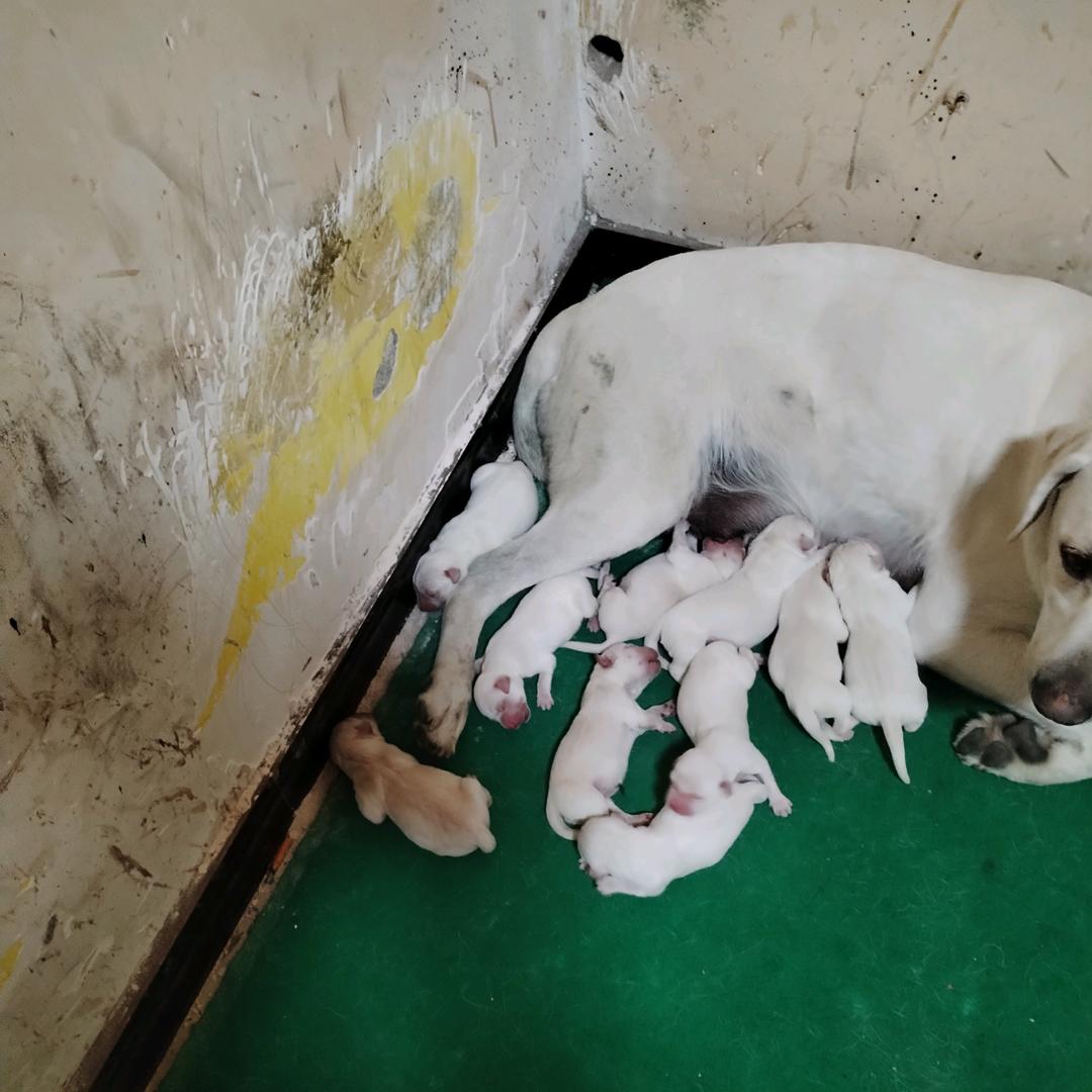 🦋我的时间给那去了🕊ؐ