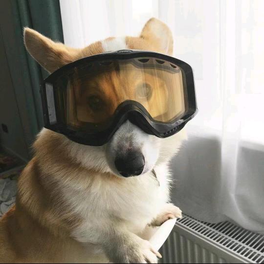 自热小火锅
