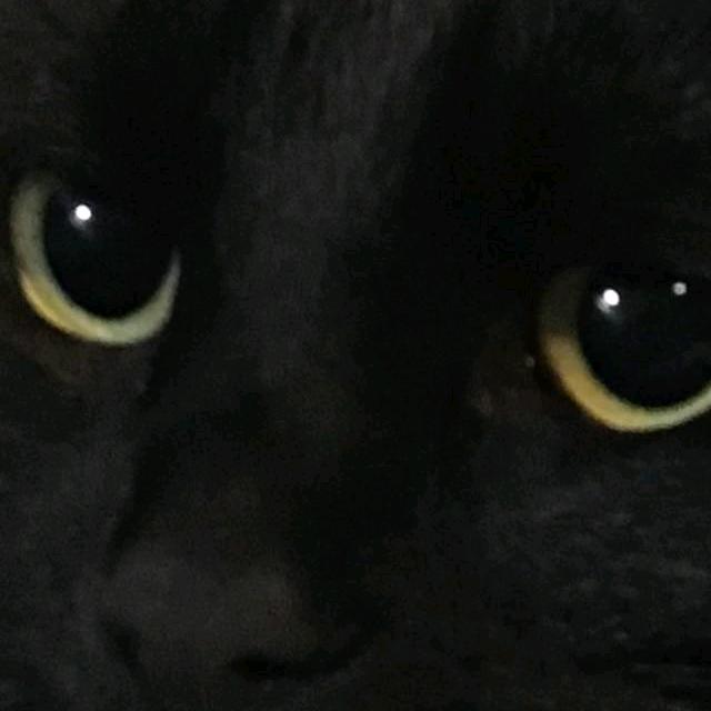 玉米棒子