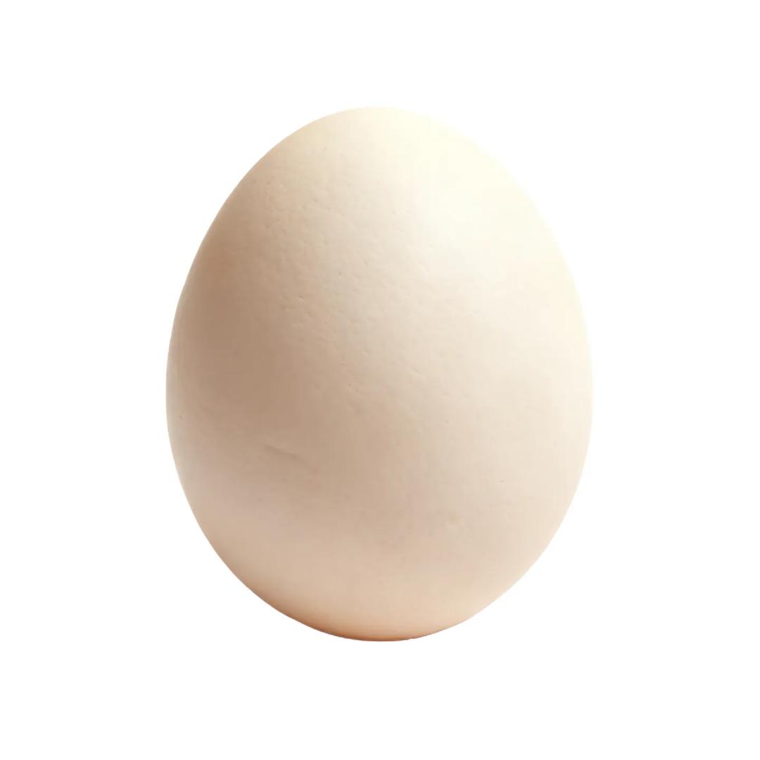 鸡蛋🥚