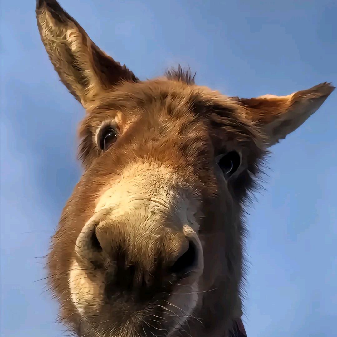 小后生