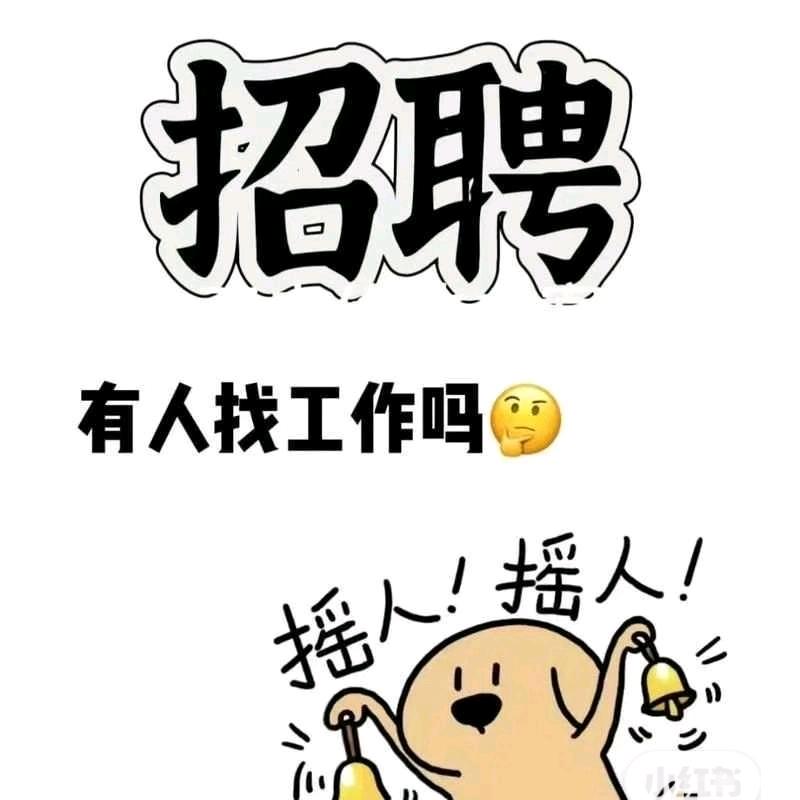 K18振振（长期招聘助教））