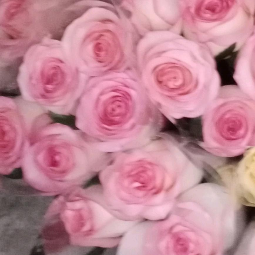 用户53707317