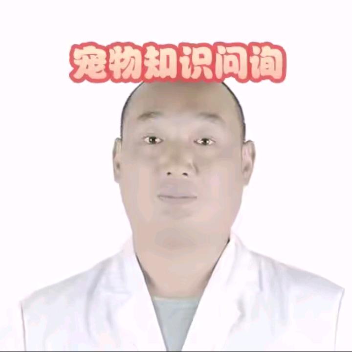 兽医张哥动物萌宠用品（专注宠物猫狗问题）