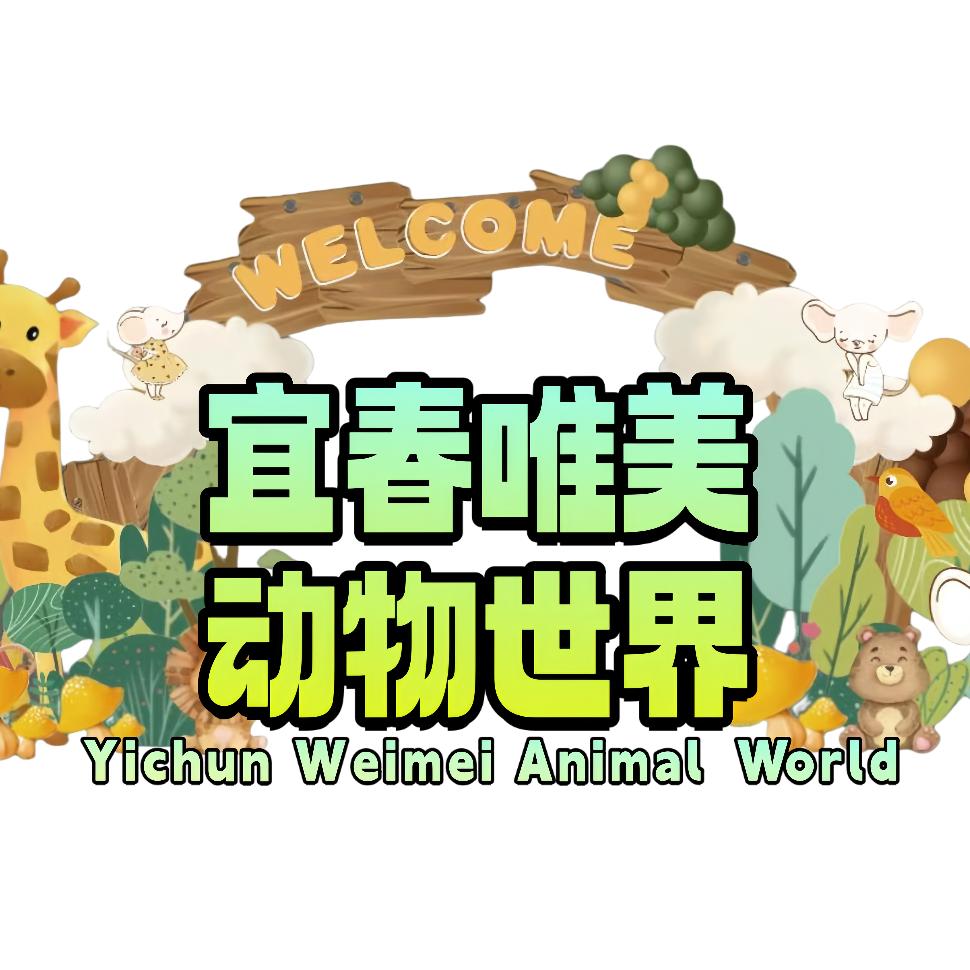 狂欢唯美动物世界