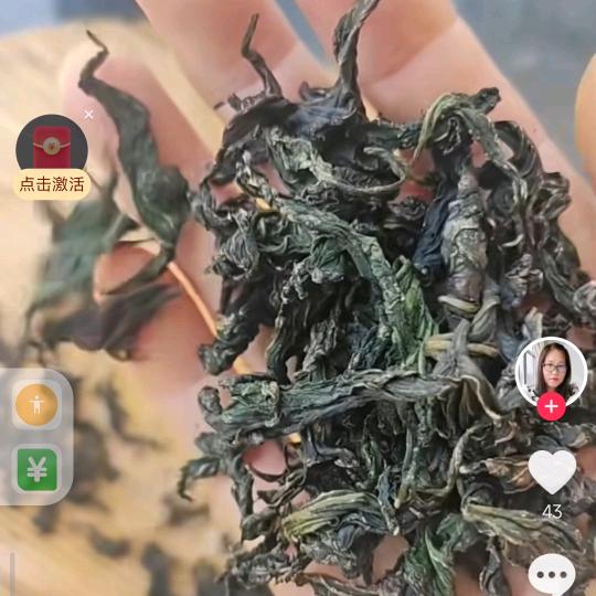 星际晴空文化