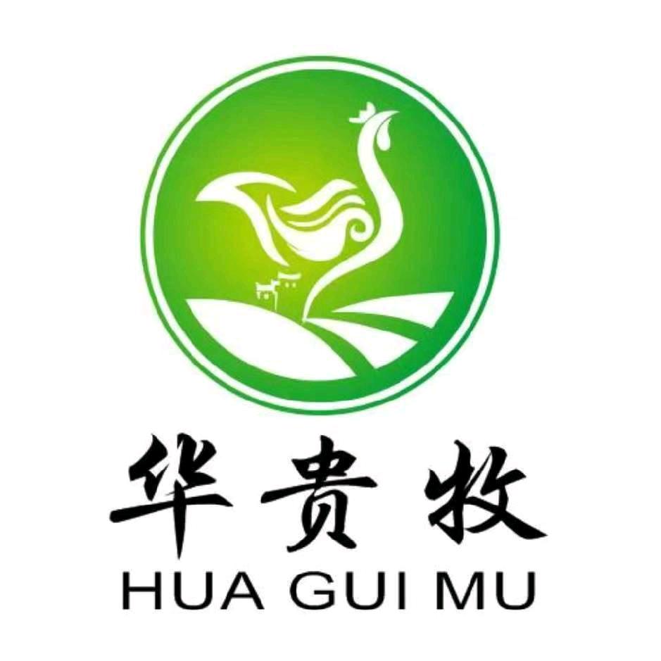 养鸡人贵哥
