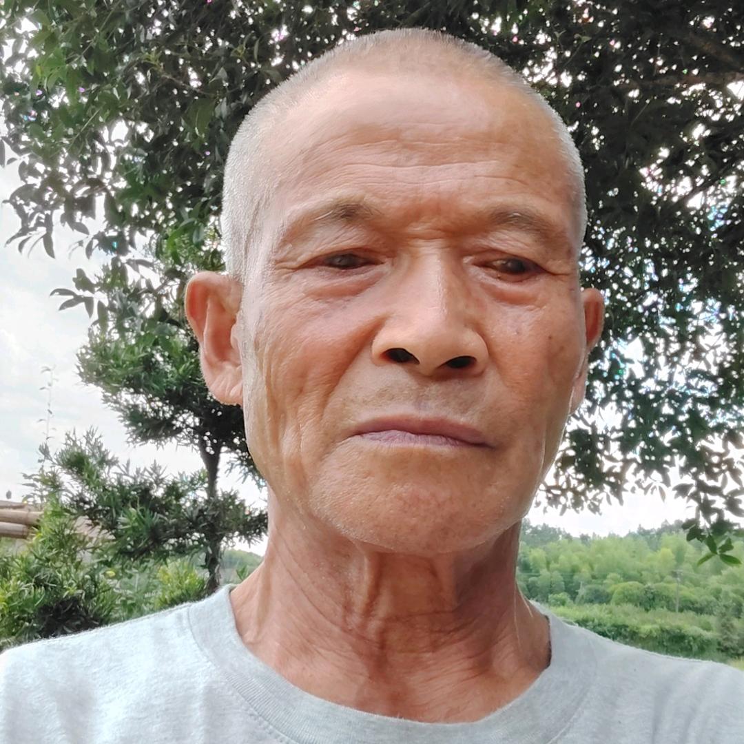 爱拼就会赢