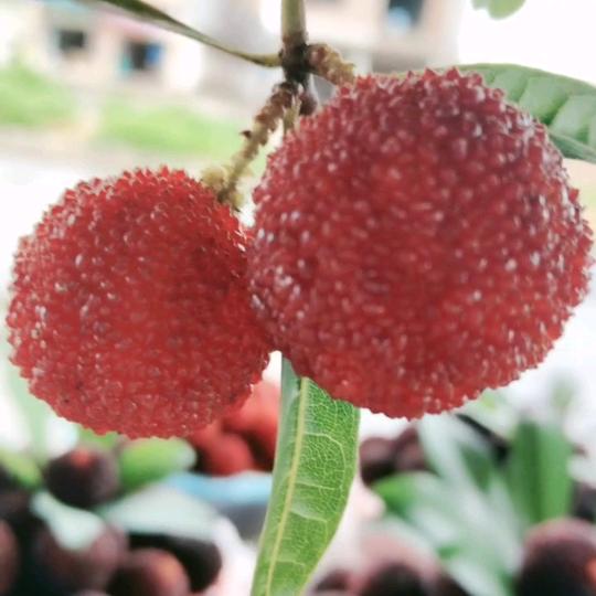 💗ℒℴѵℯ余你心心相尹⁵²º℘࿐