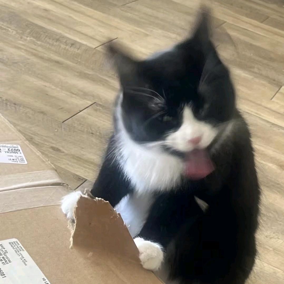 去🐴头整点🍟