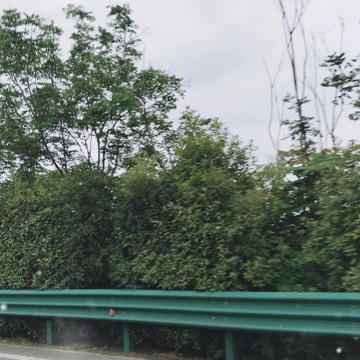霍邱县友谊艺术团