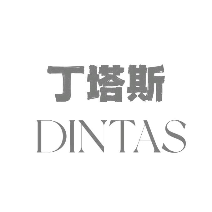 DINTAS丁塔斯乐器专卖店