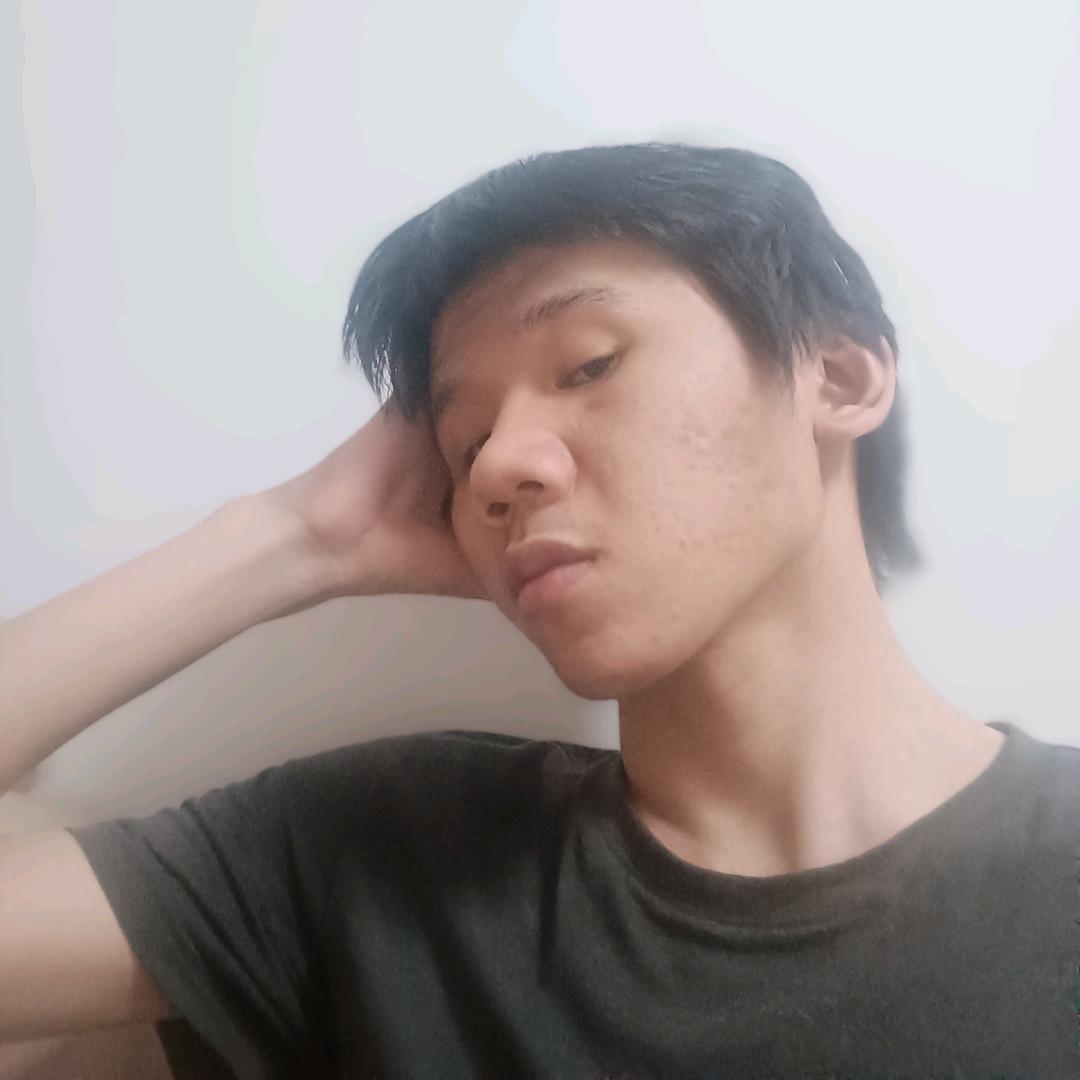 小马不是斑马