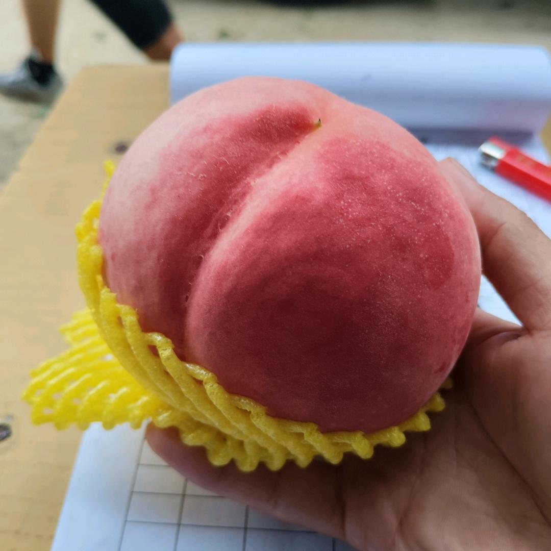 红尘一梦