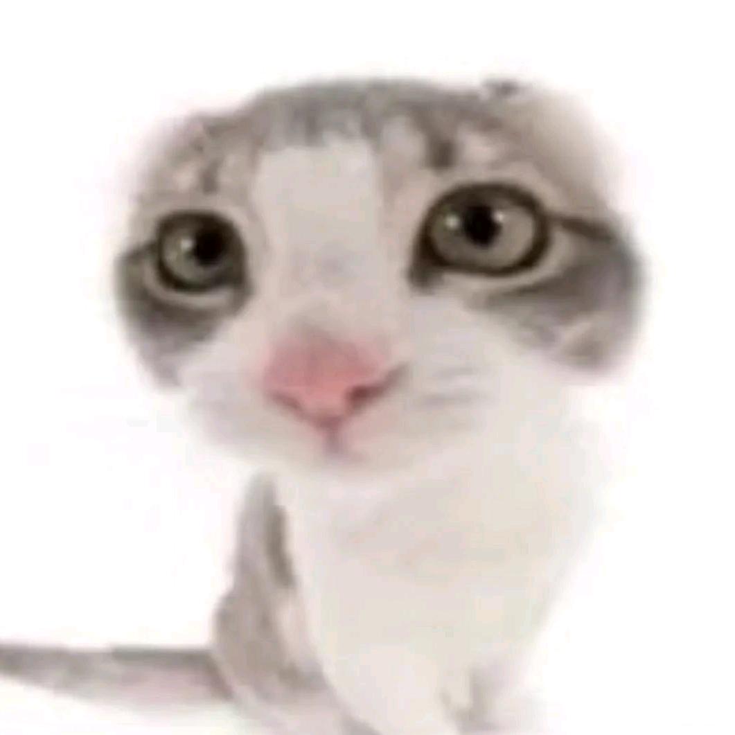 👉🥺👈