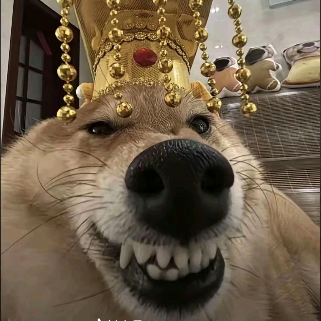 魂冷