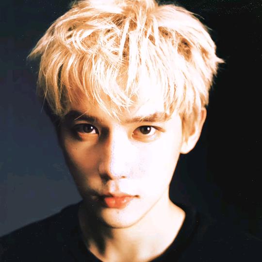 小狗摇尾巴