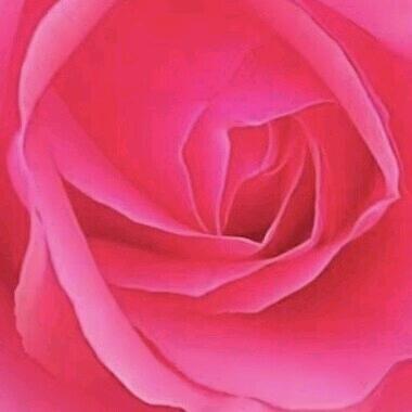 榜一家和万事兴老板