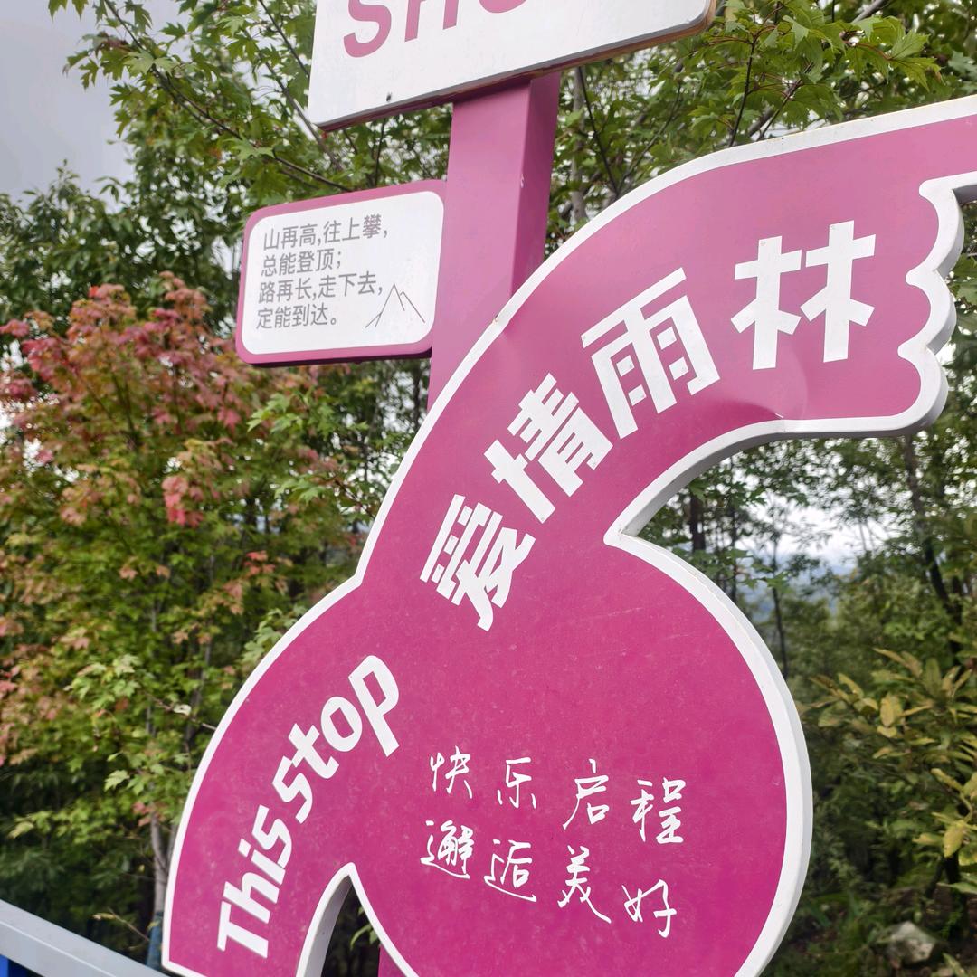 @ঞᩚ᭄88静宝 💞: 🍀ঞ