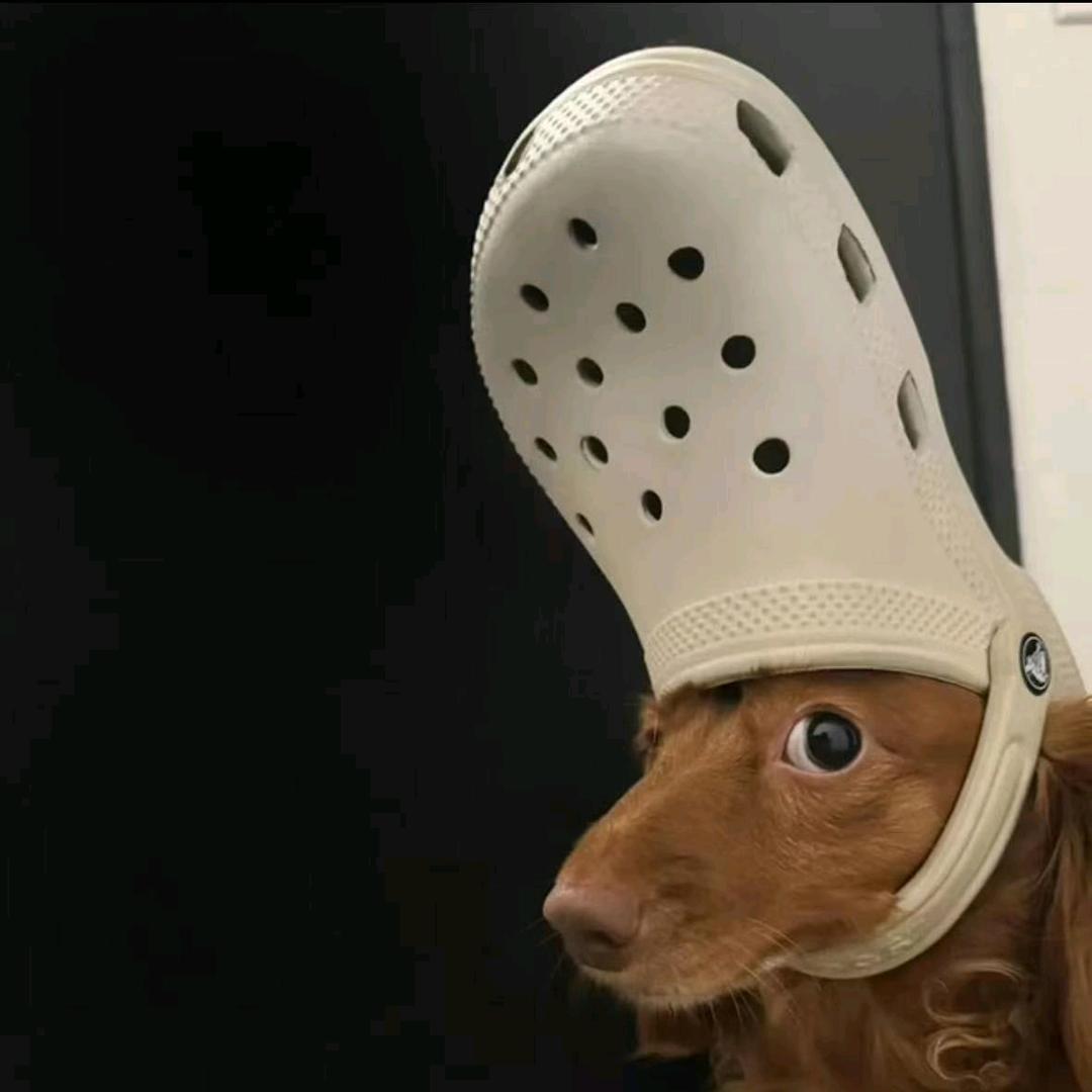只关注