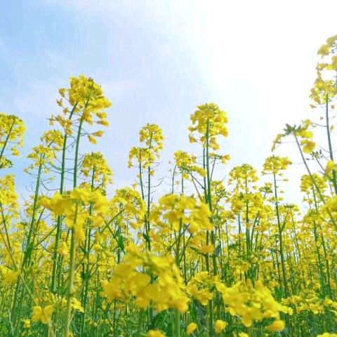 信阳浉河区新时代学校