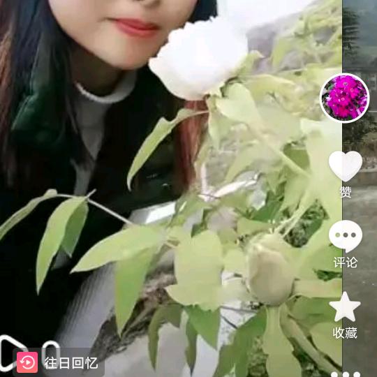 人生