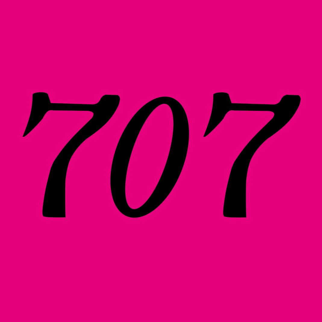 公主岭707酒馆