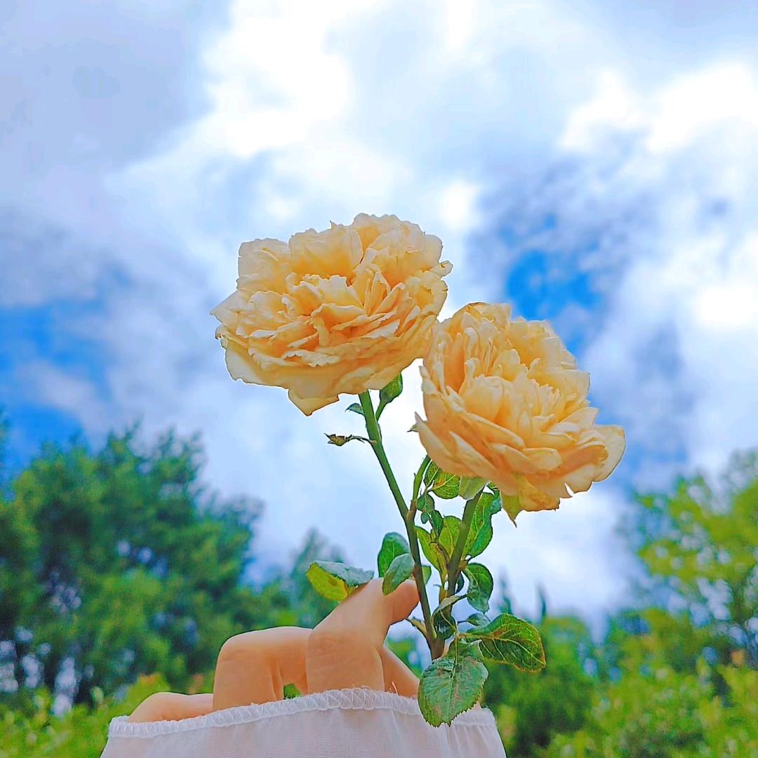 心痛💗💔