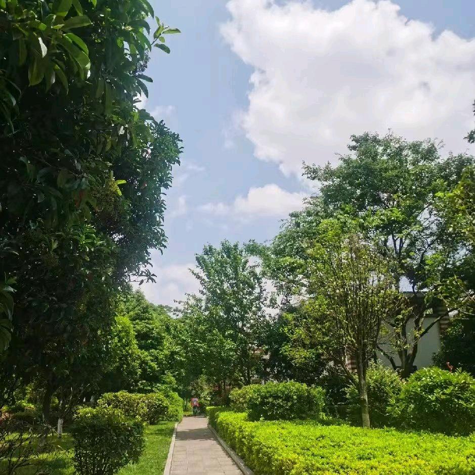 如梦