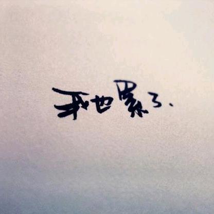 tim—泪目