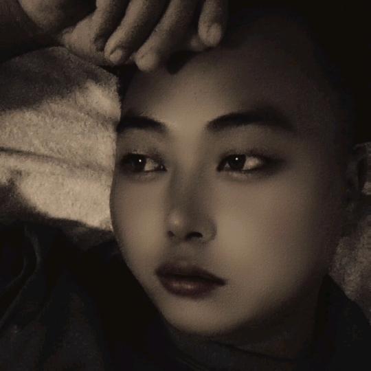不念过往  向阳而生