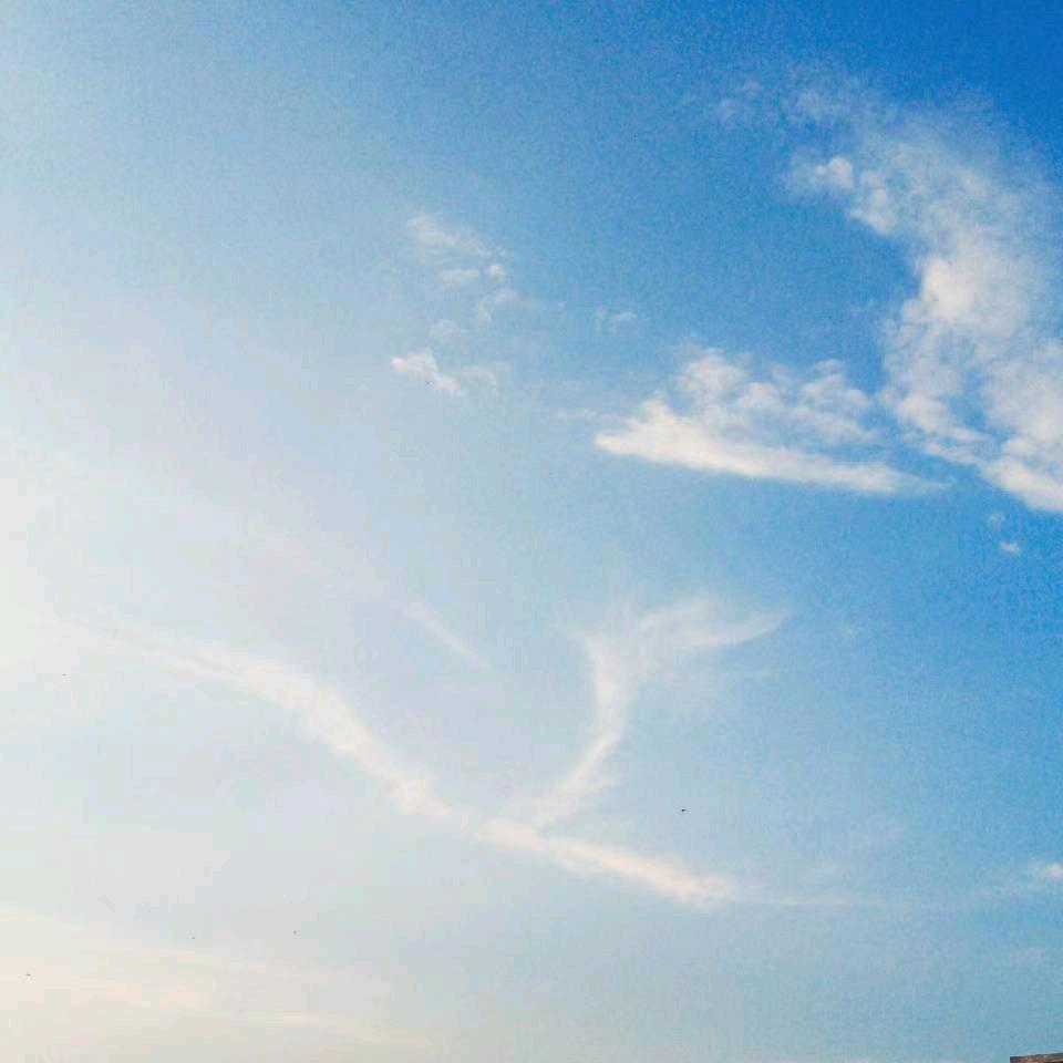 ♛一见青山夏木