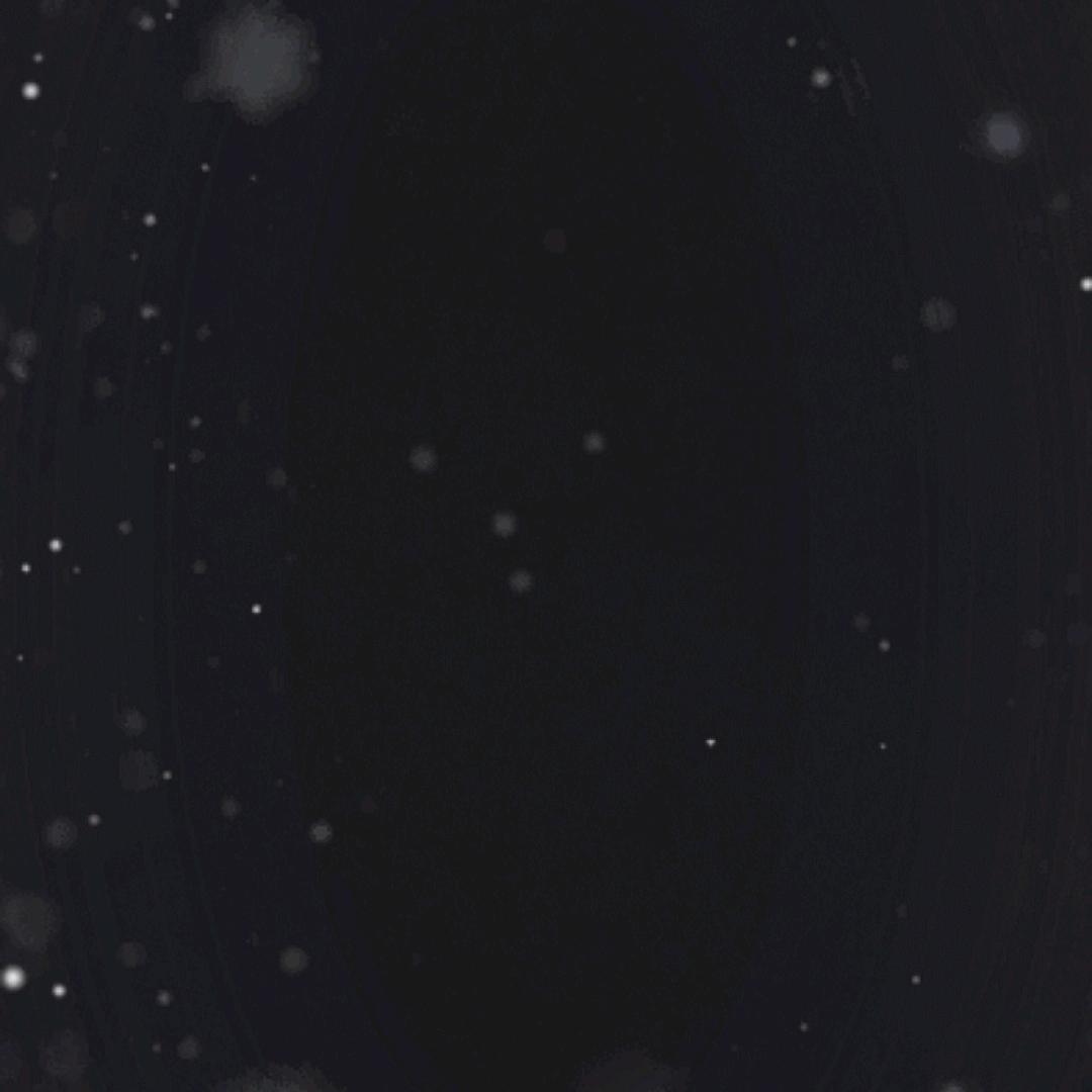 00000000000000000000