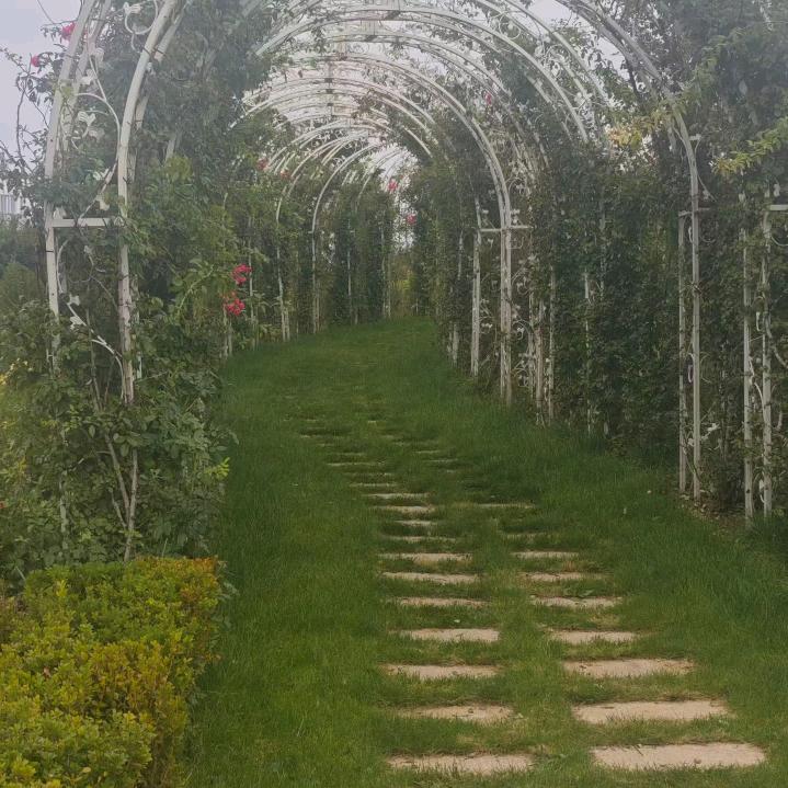 心态阳光，百岁男孩