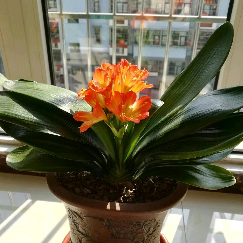 এ᭄大🇨🇳同ོꦿ