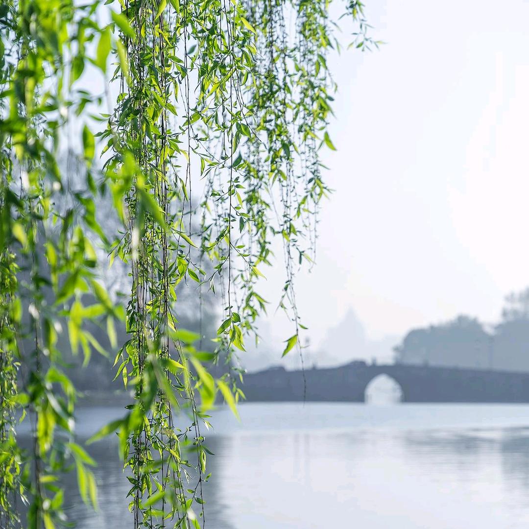老李同学