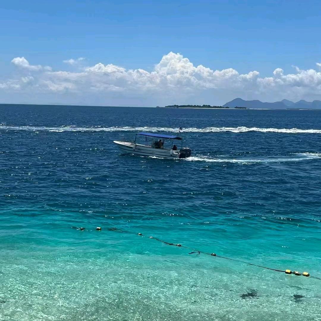 杉12