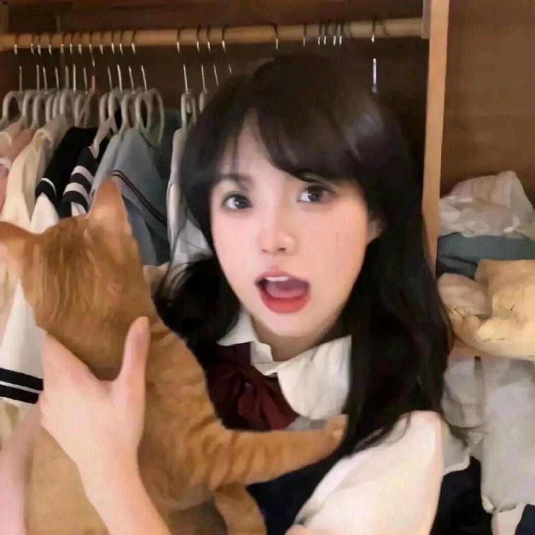 小猫世界下小鱼雨
