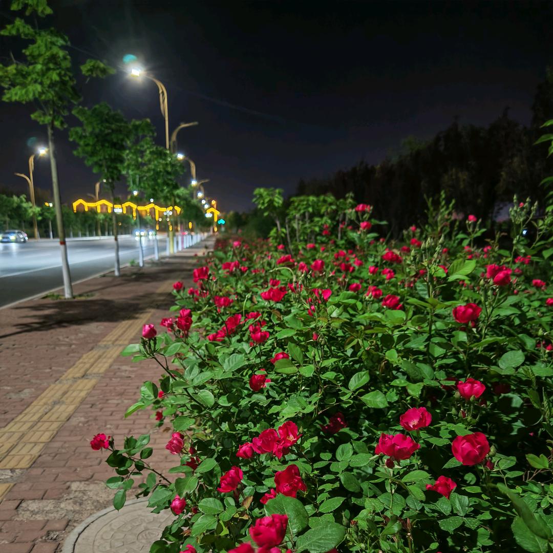 金赛康水溶肥企业店