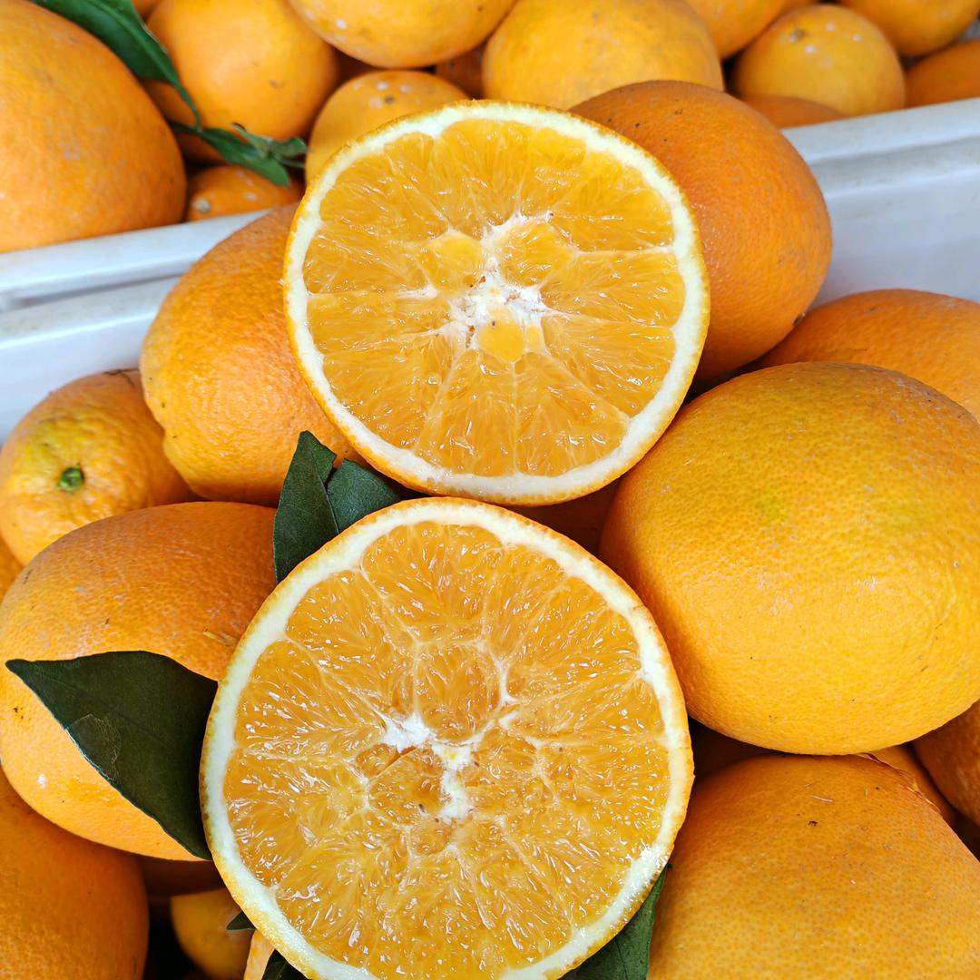 赣南婷姐新鲜农产品精选