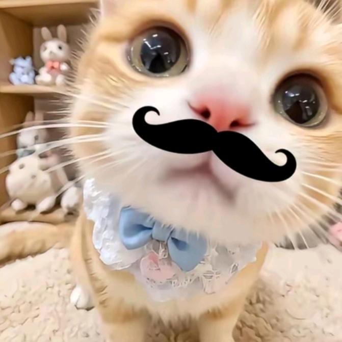 双鱼