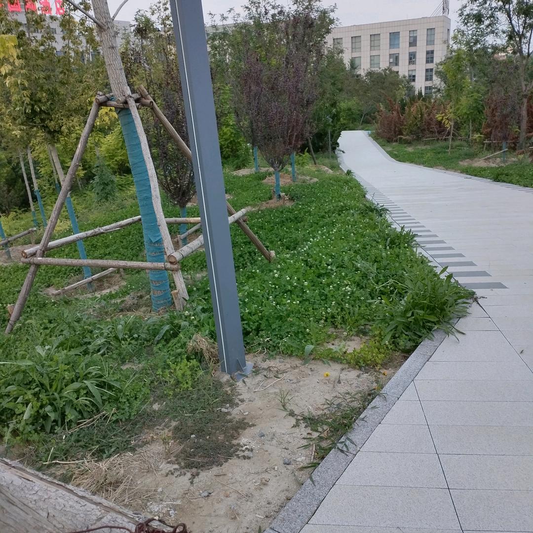 百毒不侵