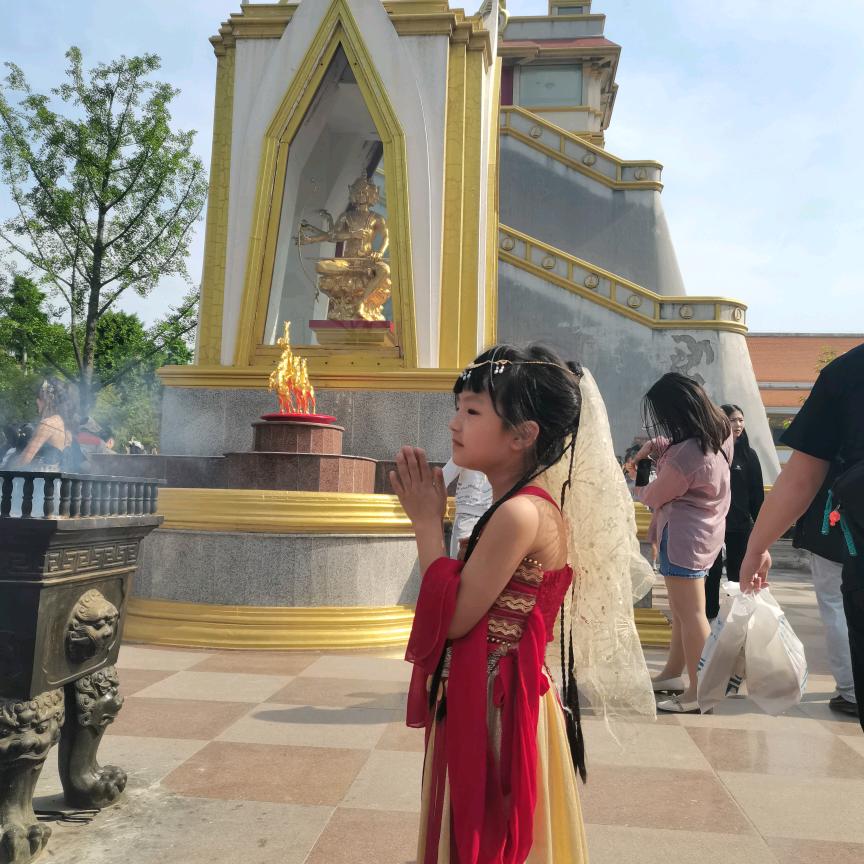 青年国旅胖大仙儿