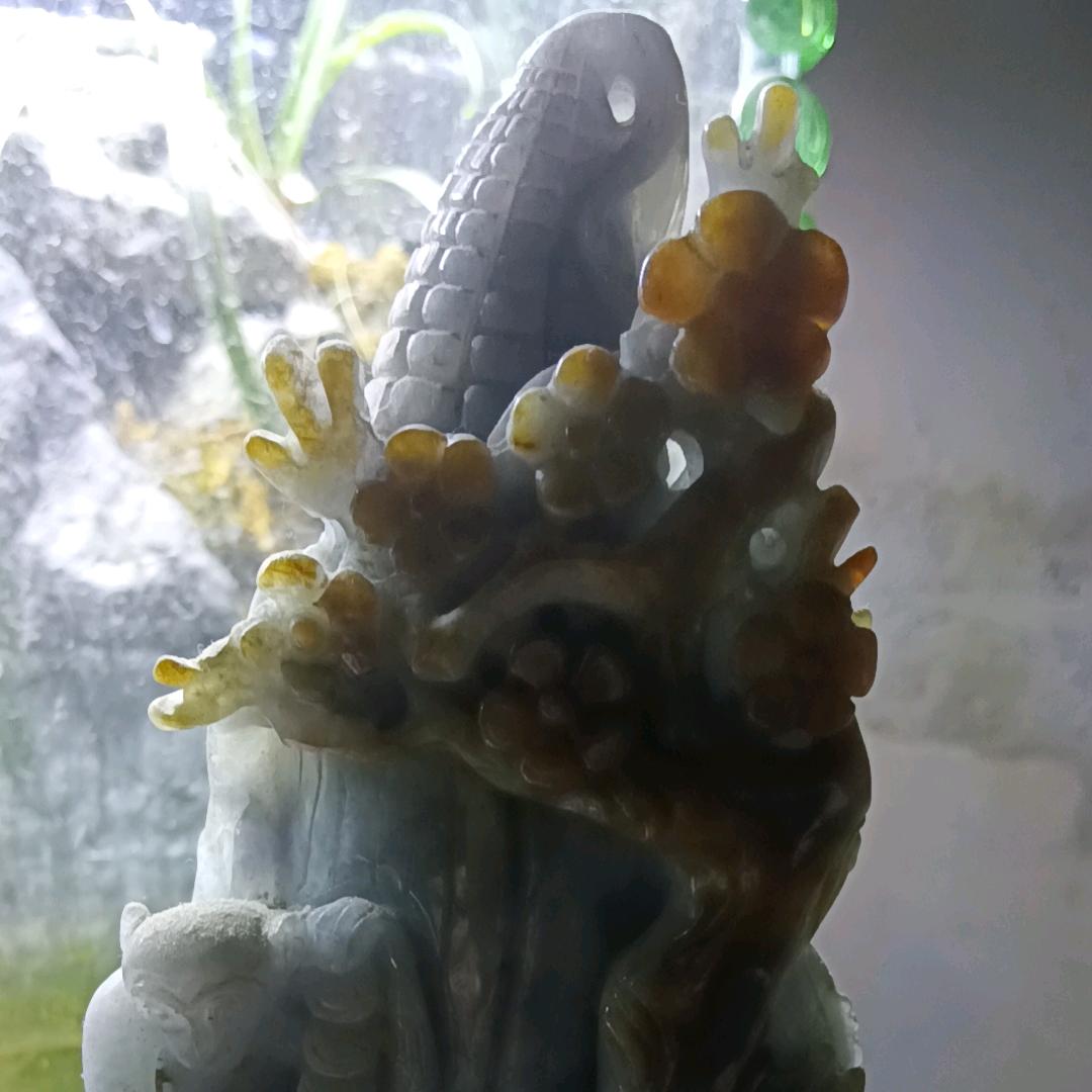 收废品