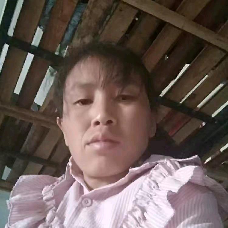 伤心回忆不定时开播