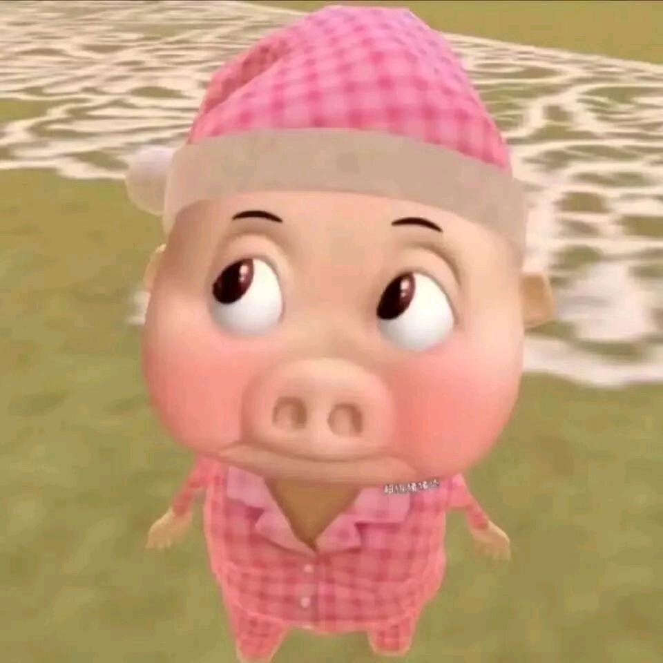 超级无敌🐷🐷侠