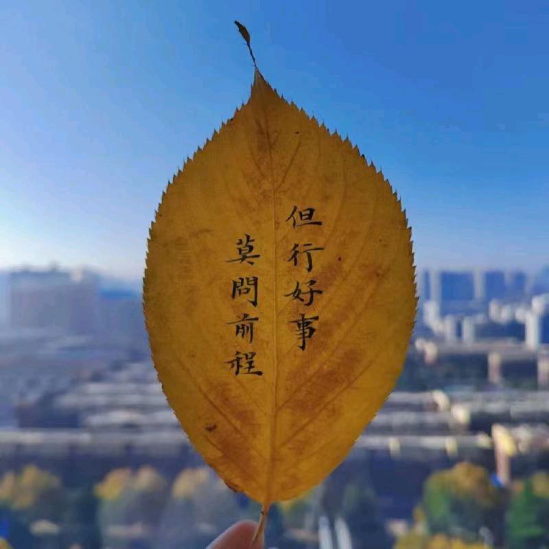 ²⁰²⁵樊事不慌，诸事顺利